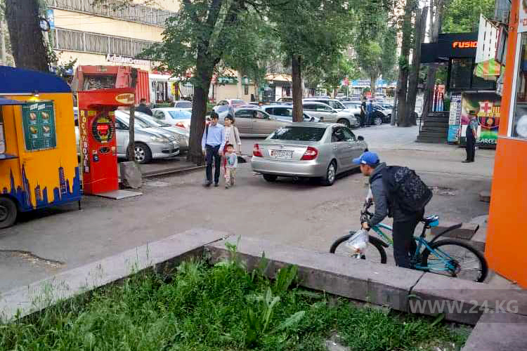 читателя. Чудаки парковки