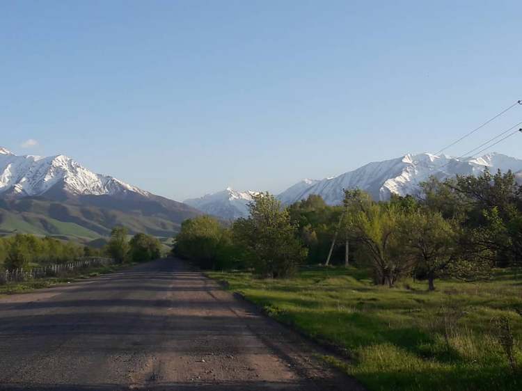 Бактыбека Шамкеева. По дороге в Кашка-Суу