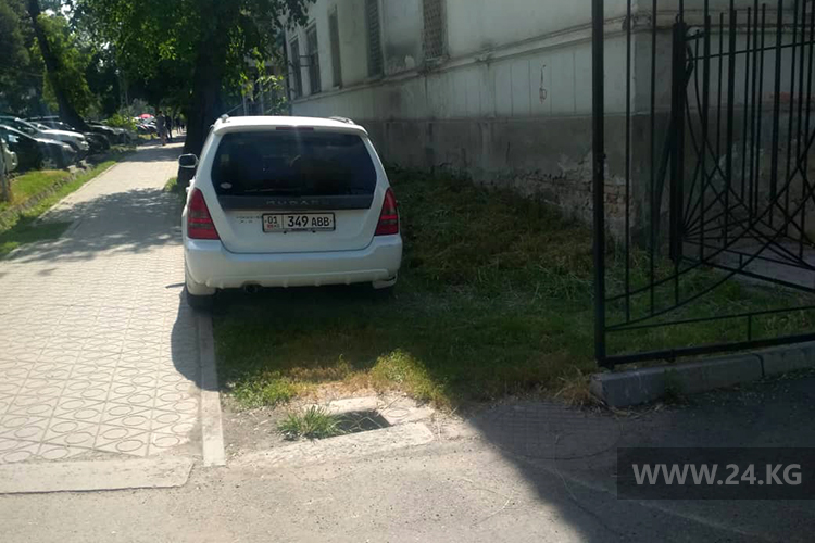читателя. Чудаки парковки