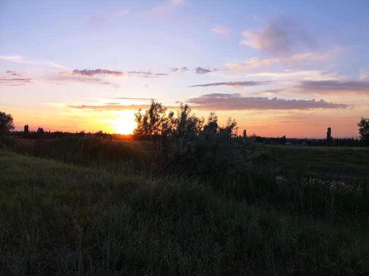 Анны Тимофеенко. В пригороде Бишкека