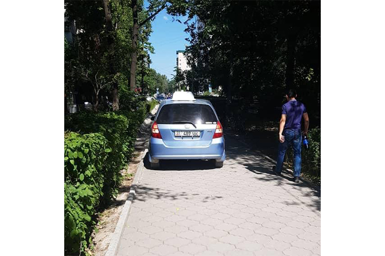 читателя. Чудаки парковки