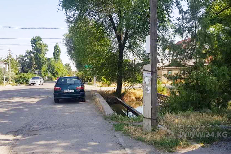 читателя. Чудаки парковки