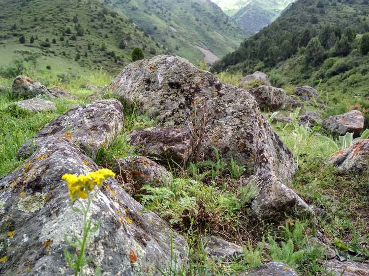 Данияра Солтоева. Аламединское ущелье