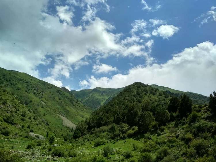 Данияра Солтоева. Аламединское ущелье