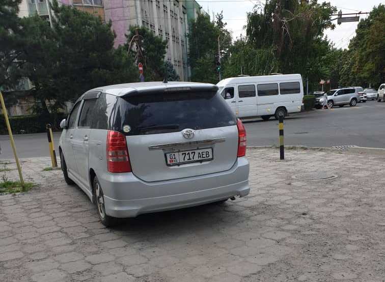 читателя. Чудаки парковки