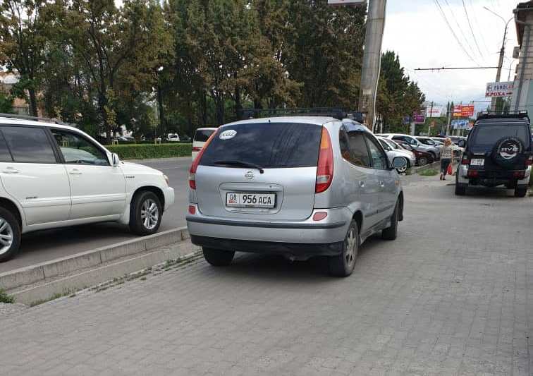 читателя. Чудаки парковки