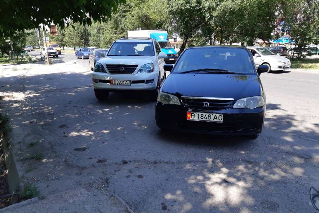 читателя. Чудаки парковки
