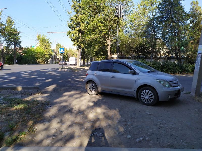 читателя. Чудаки парковки