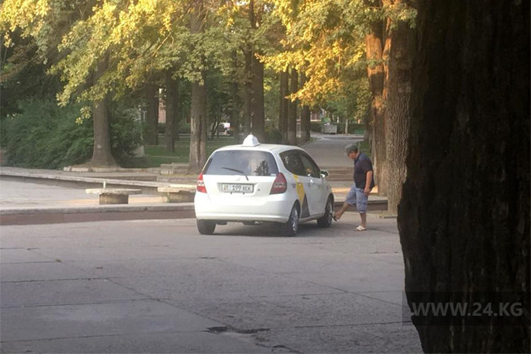 читателя 24.kg. Автолюбители продолжают парковаться в Дубовом парке