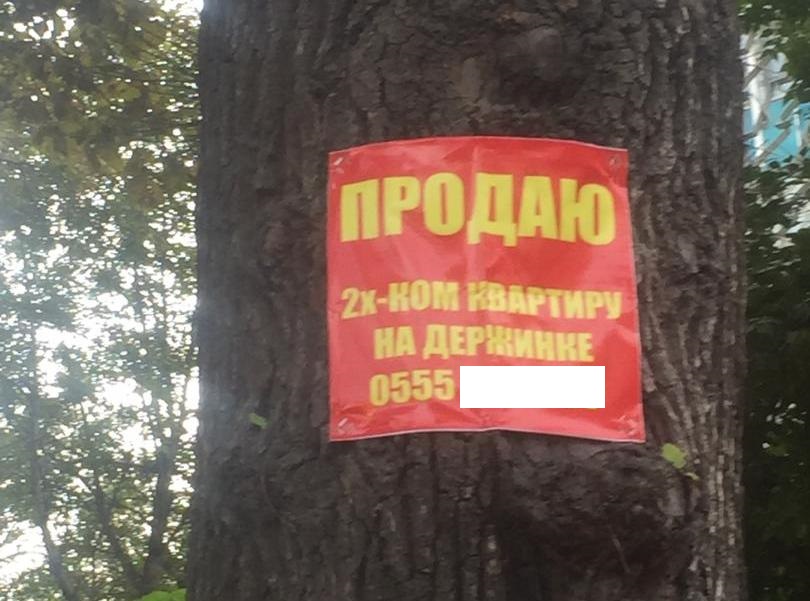 Реклама на дереве