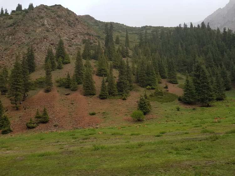 Бексултана. Возле поселка Мин-Куш, Нарынская область