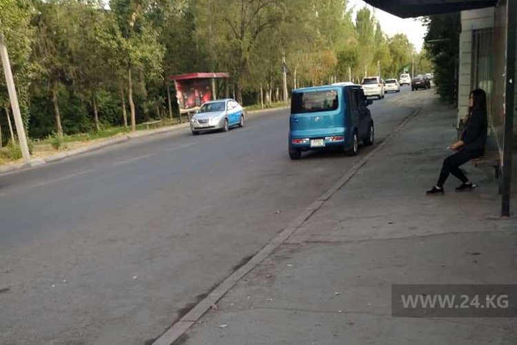 читателя. Чудаки парковки
