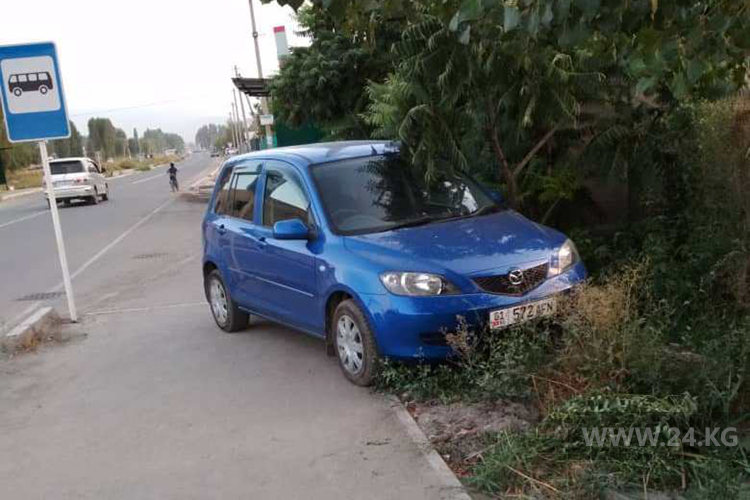 читателя. Чудаки парковки