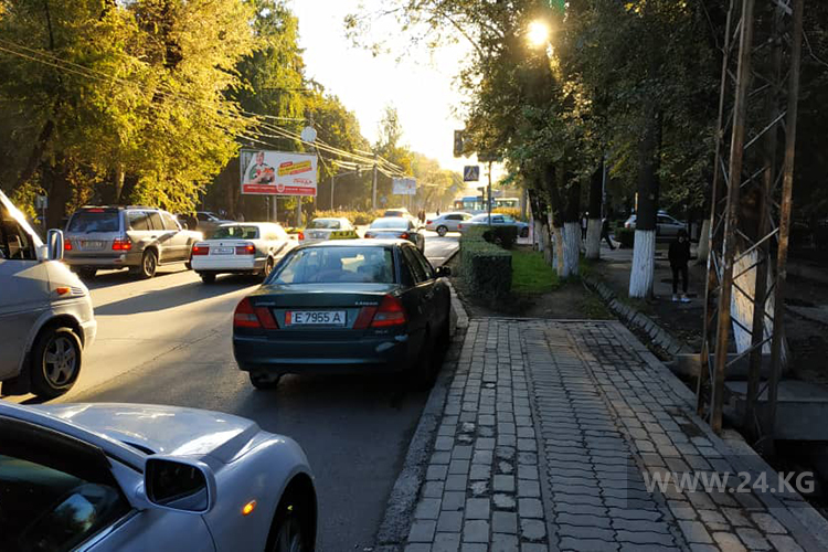 читателя. Чудаки парковки