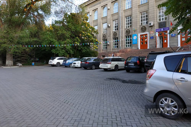 читателя. Чудаки парковки