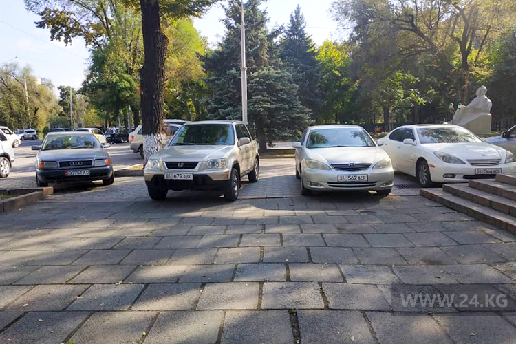 читателя. Чудаки парковки