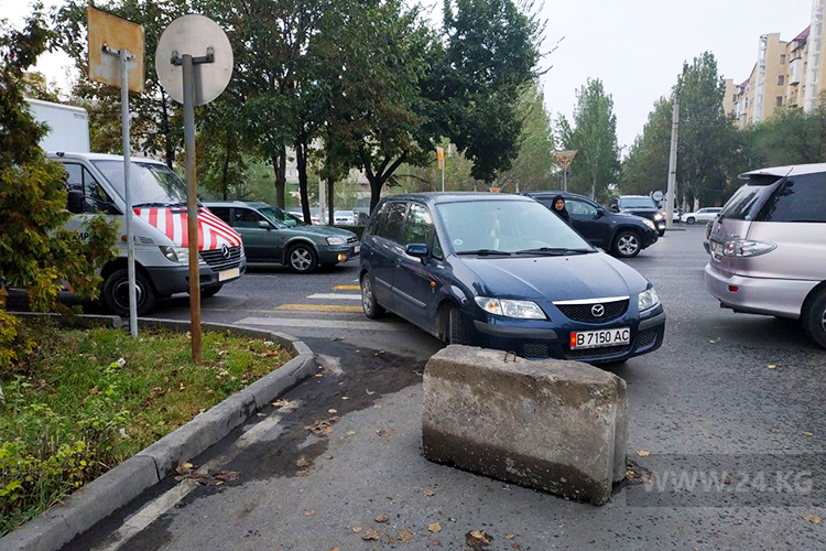 читателя. Чудаки парковки