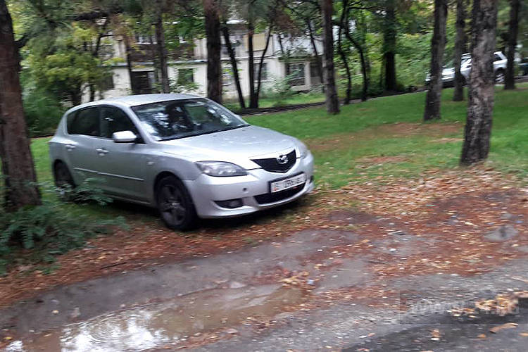 читателя. Чудаки парковки