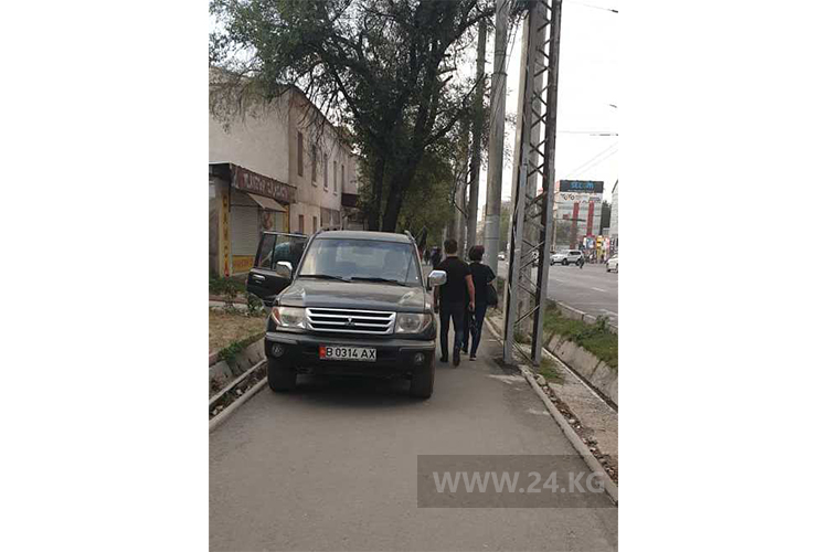 читателя. Чудаки парковки