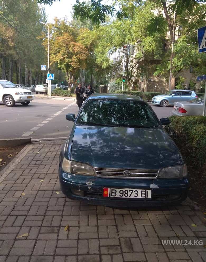 Чудаки парковки