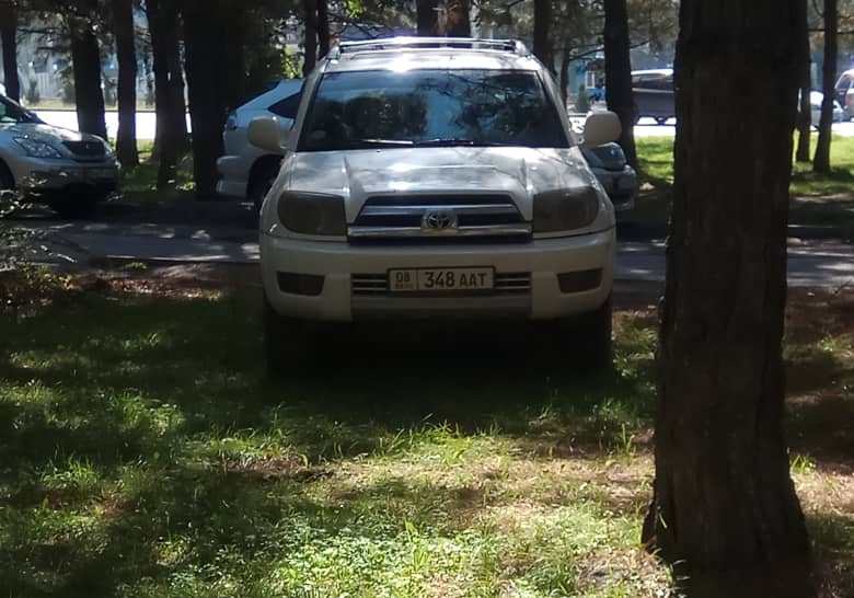 Чудаки парковки