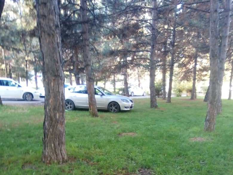 Чудаки парковки