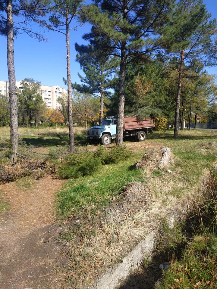 Вдоль улицы Байтика Баатыра рубят деревья