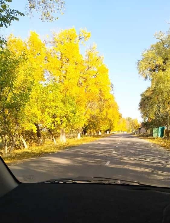 Золотая осень Чуйской долины