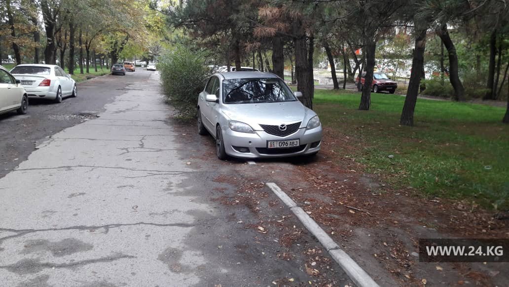 Чудаки парковки