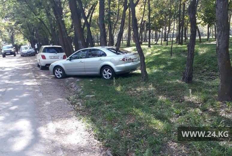 Чудаки парковки