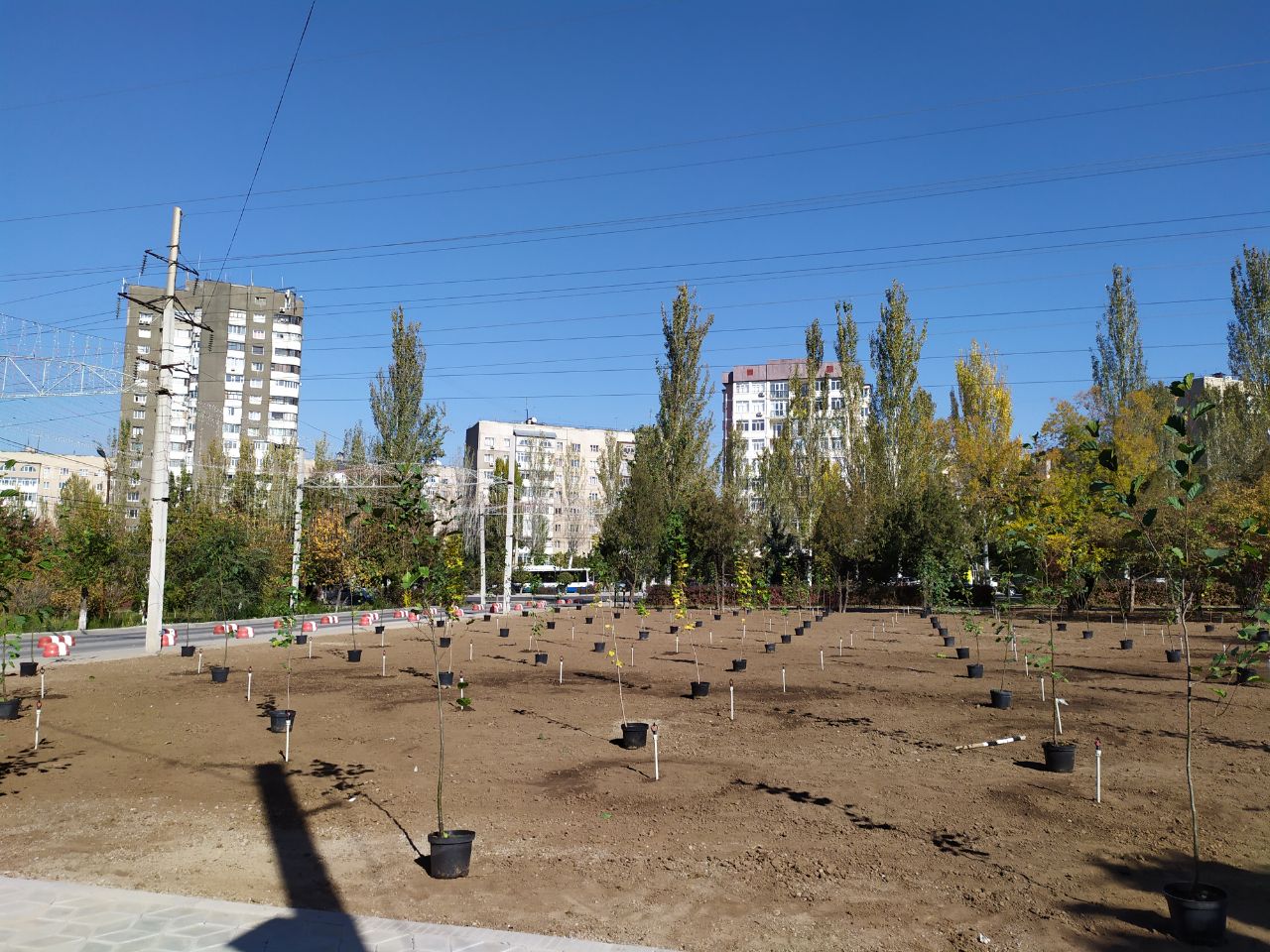 Еще один зеленый островок появился в Бишкеке