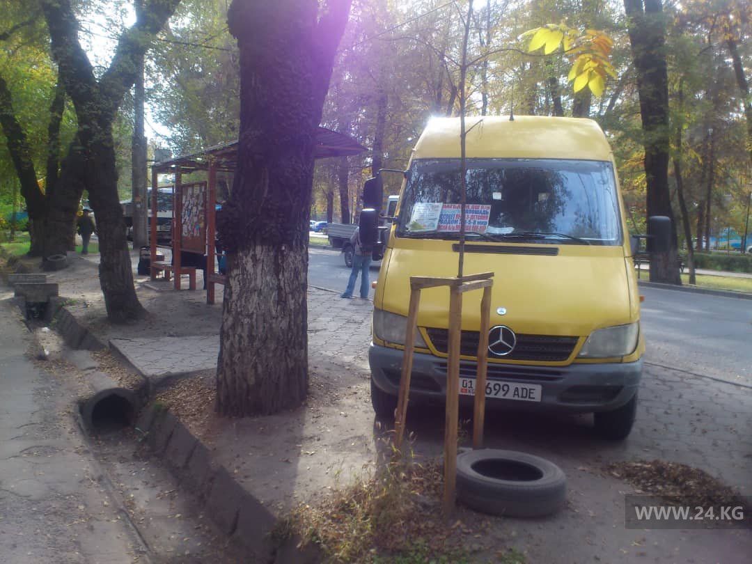 Чудаки парковки