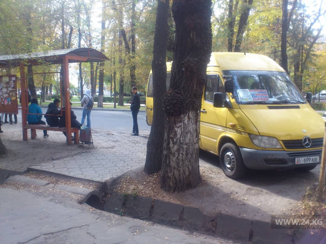 Чудаки парковки