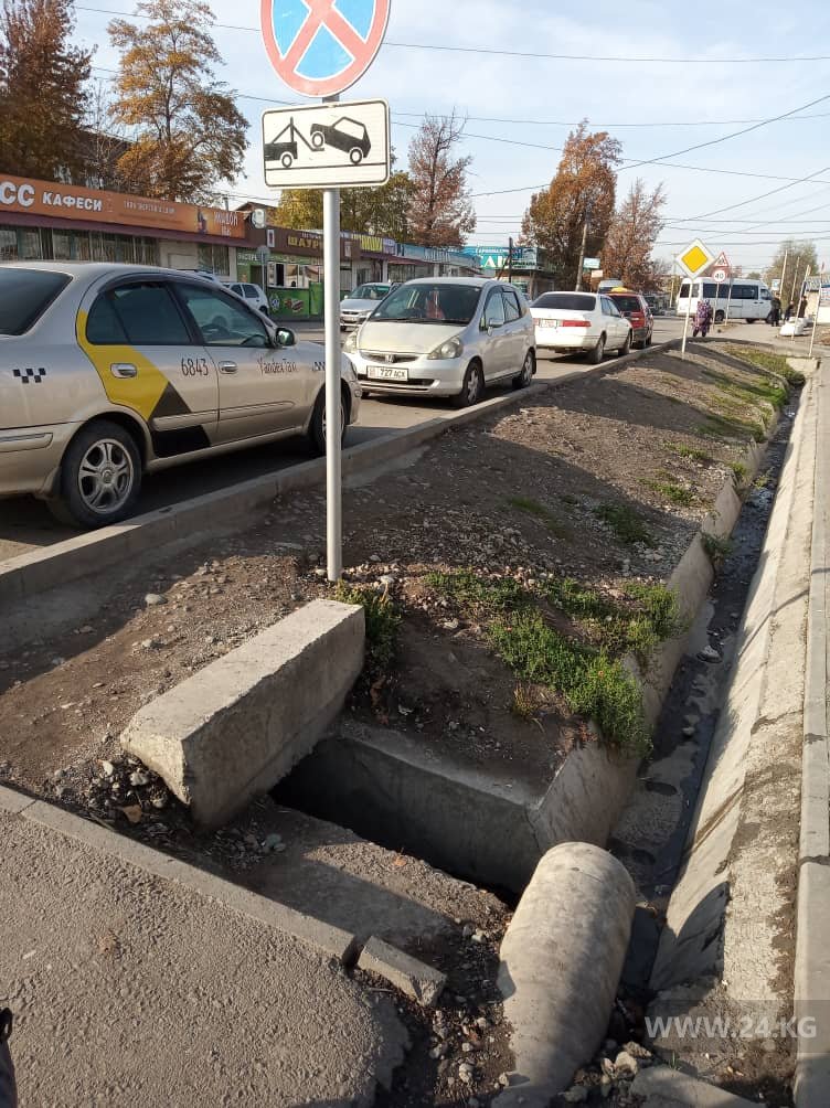 Чудаки парковки