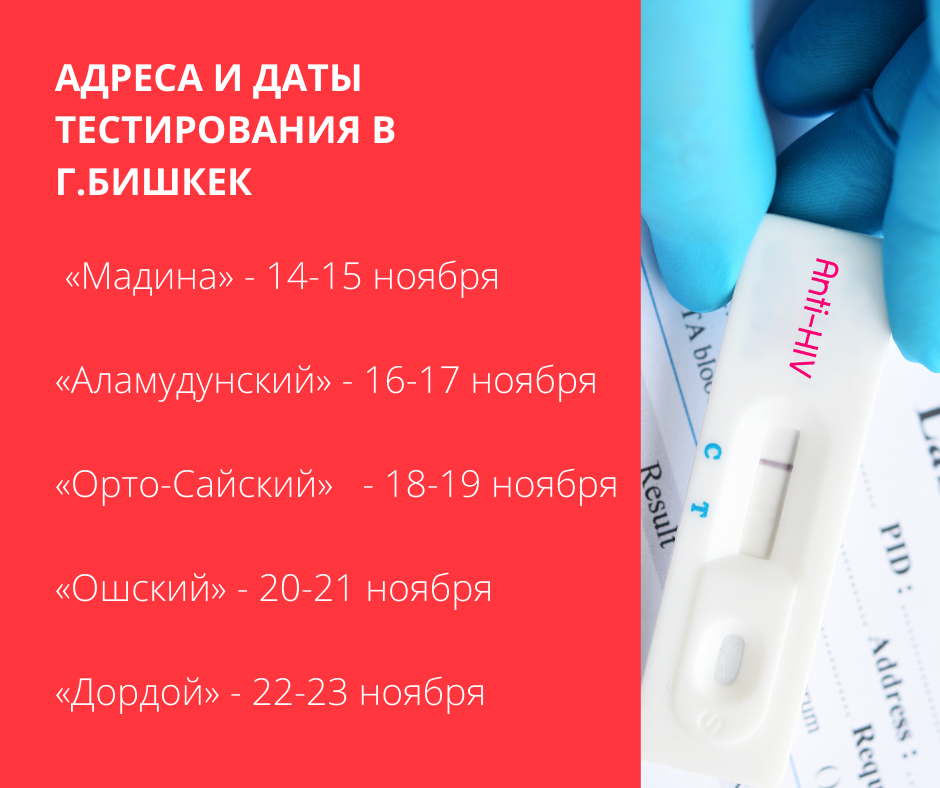 Расписание тестирования