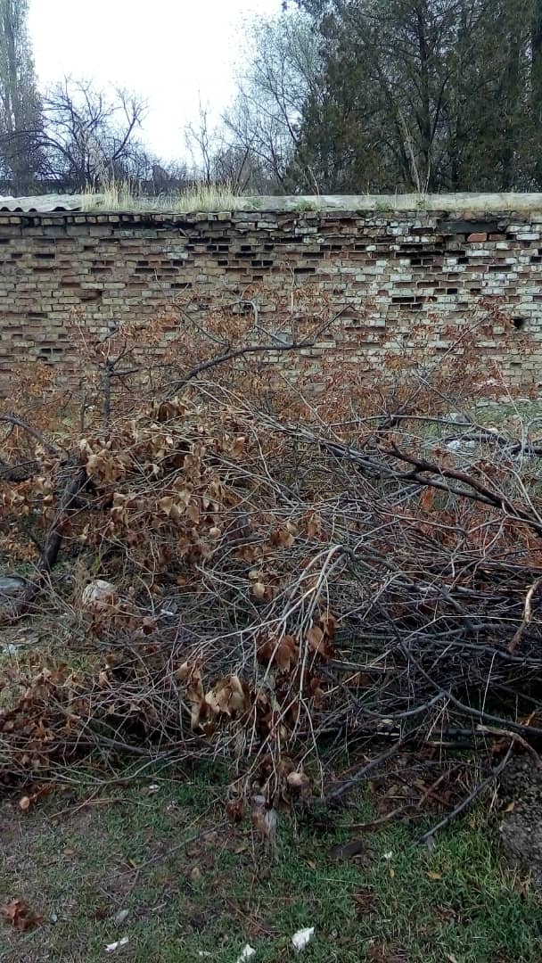 В селе Пертовка старшие офицеры ГСИН заставляют работать солдат