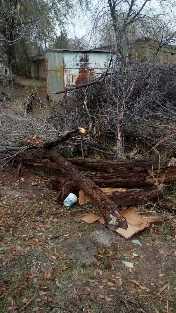 В селе Петровка солдат ГСИН заставляют вырубать деревья