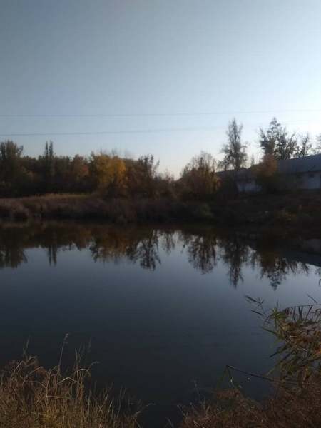 Пруд в Карагачевой роще