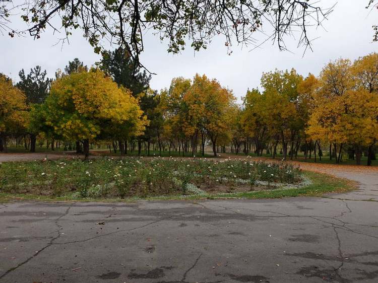 Осень в Бишкеке