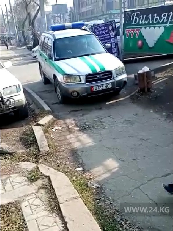 Чудаки парковки