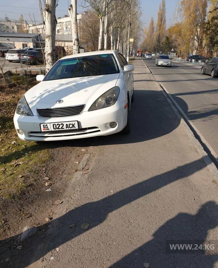 Чудаки парковки