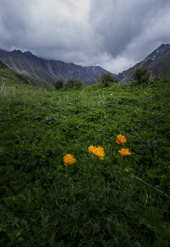 Ала-Арча