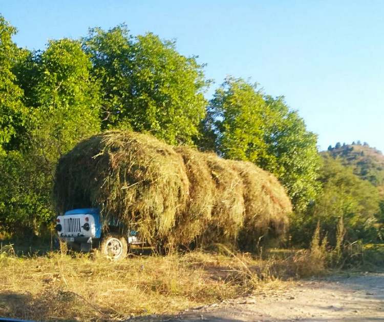 Возле озера Сары-Челек