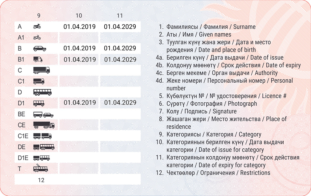 Образец новых водительских удостоверений