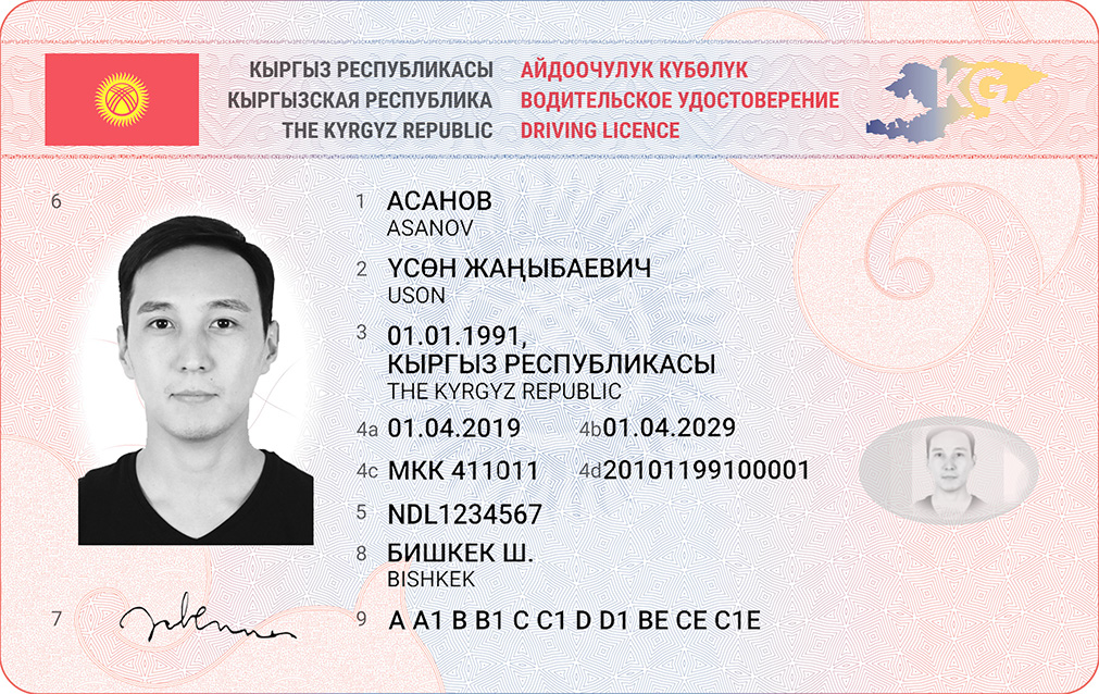 Образец новых водительских удостоверений