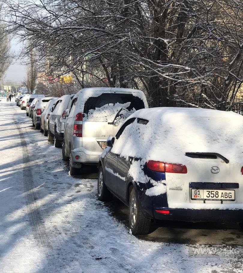 Чудаки парковки