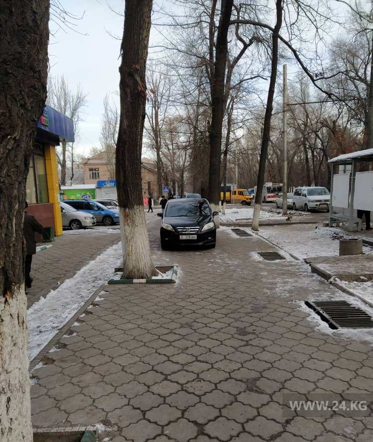 Чудаки парковки
