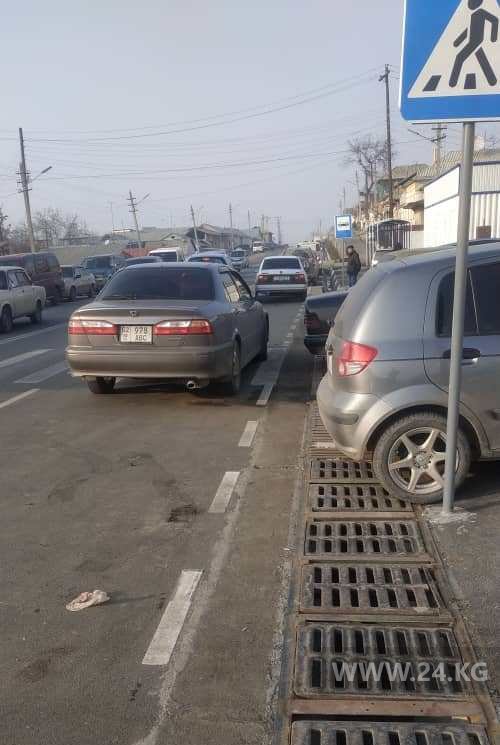 Чудаки парковки
