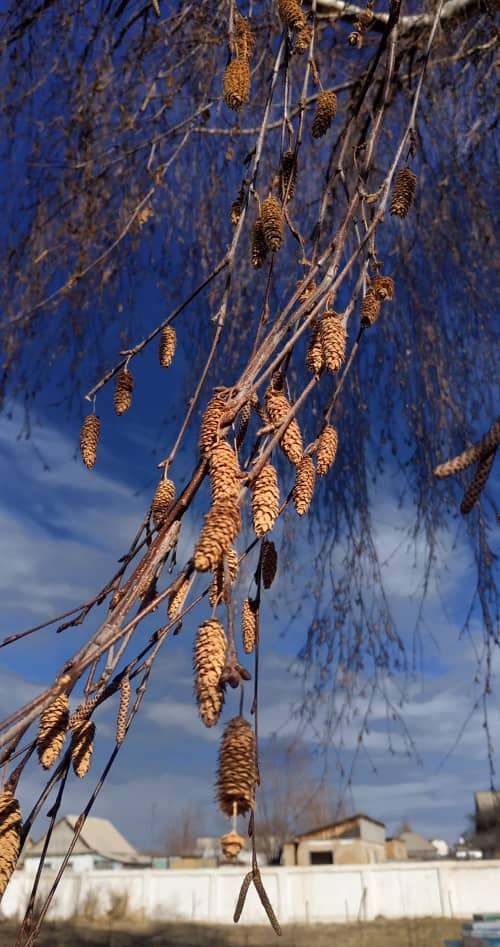 Село Кызыл-Суу, Джети-Огузский район