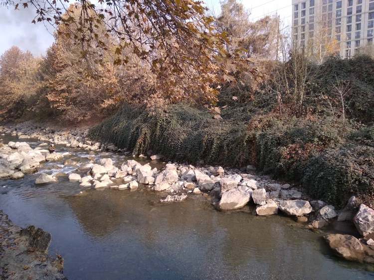 Город Ош